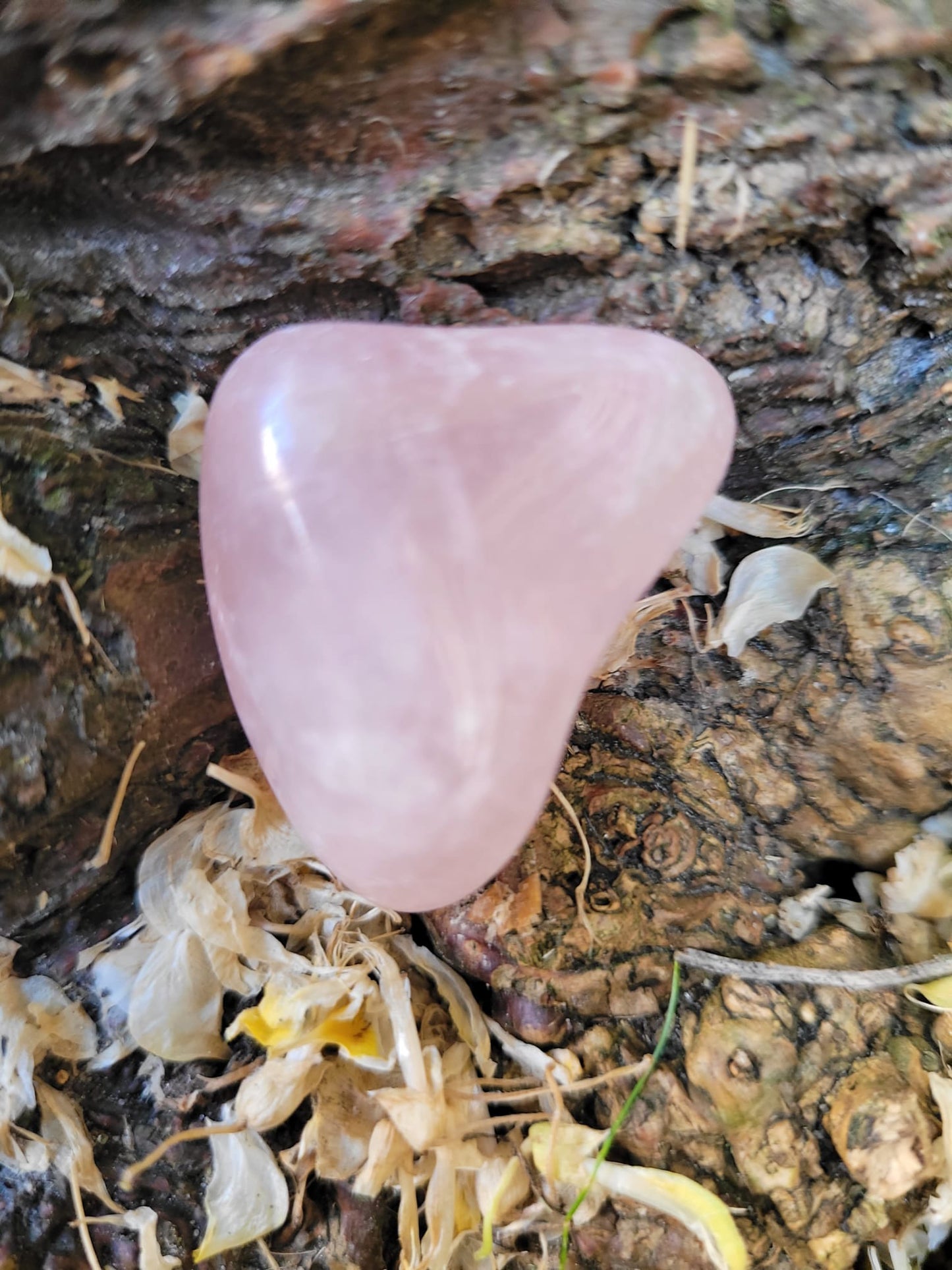 Angel with coding: Grounding - Red Jasper 35 mm