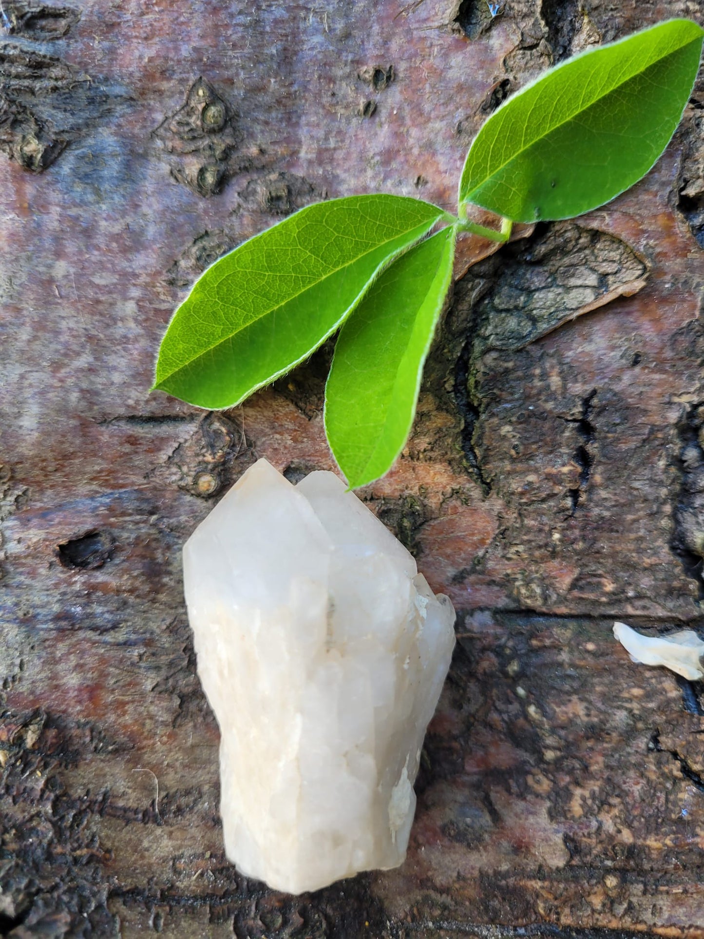 Angel with coding: Grounding - Red Jasper 35 mm