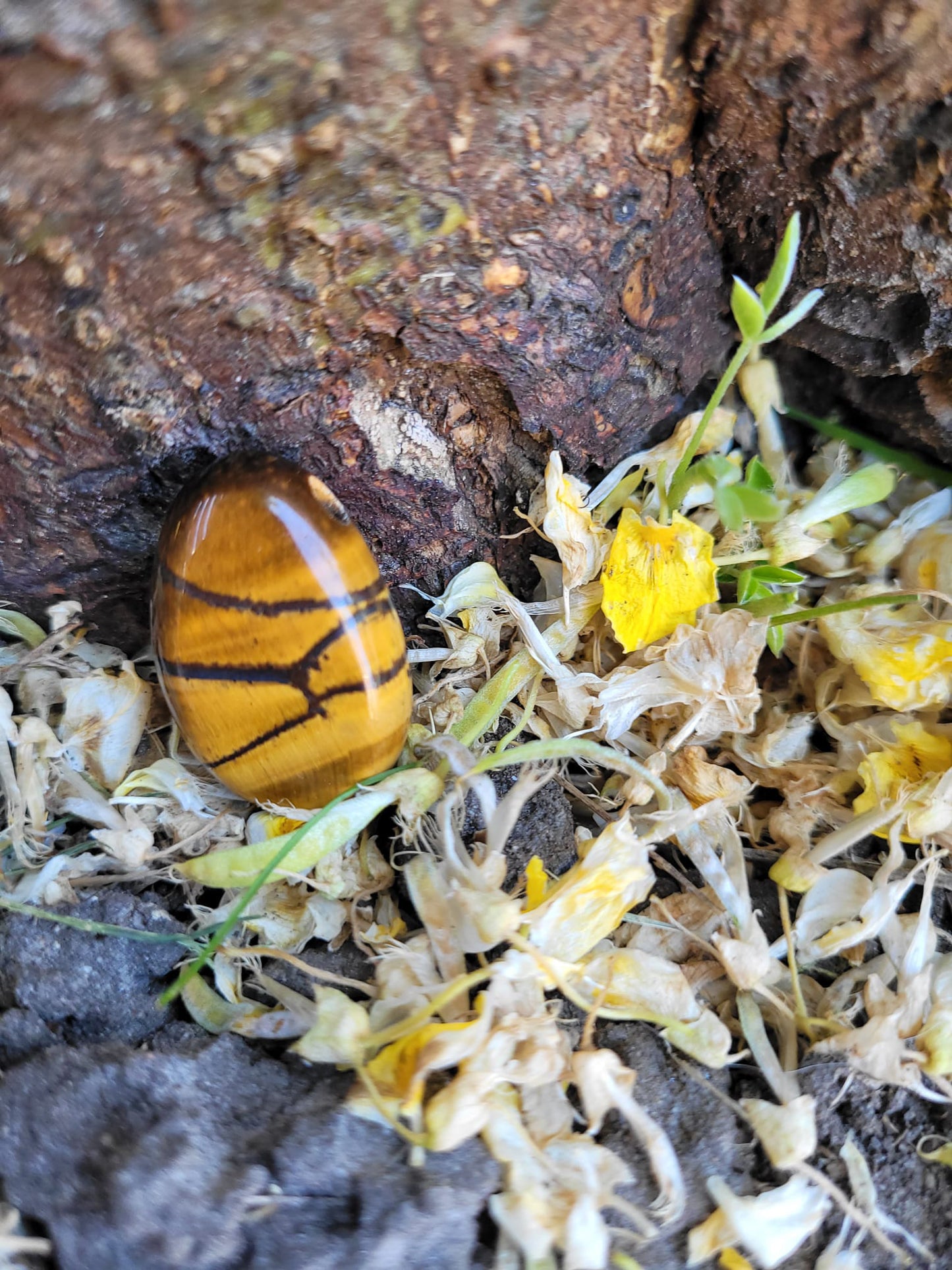 Angel with coding: Grounding - Red Jasper 35 mm