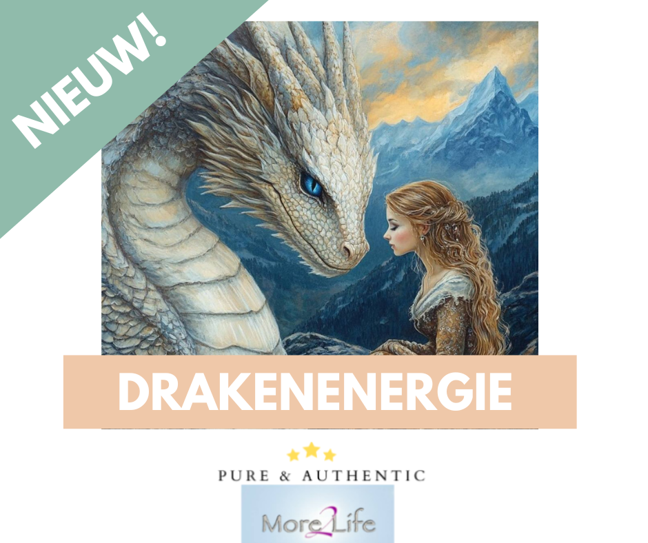 Drakenenergie 31 oktober om 16.00 uur
