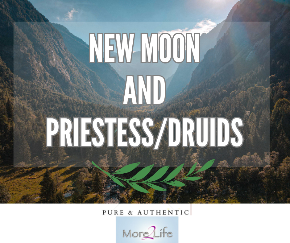 Nieuwe maan en Priesteressen/Druïden (pakketje)