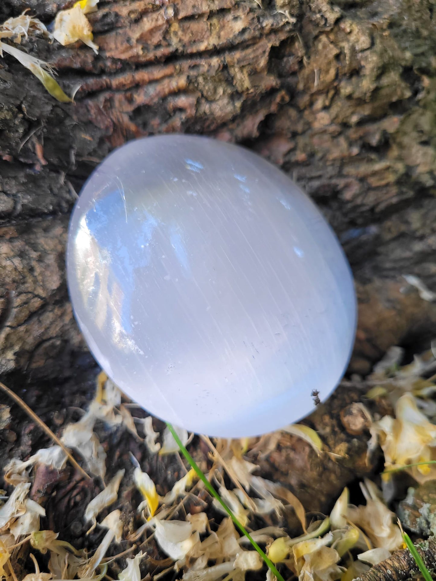 Selenite (big) linked to the Angelic Realm (Kopie)