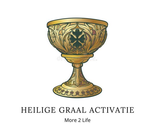 M2L University: De Heilige Graal Activatie! (Kerst 2025)