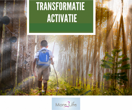 Transformatie Activatie (Loslaten van hartzeer) 17 september om 16.00 uur
